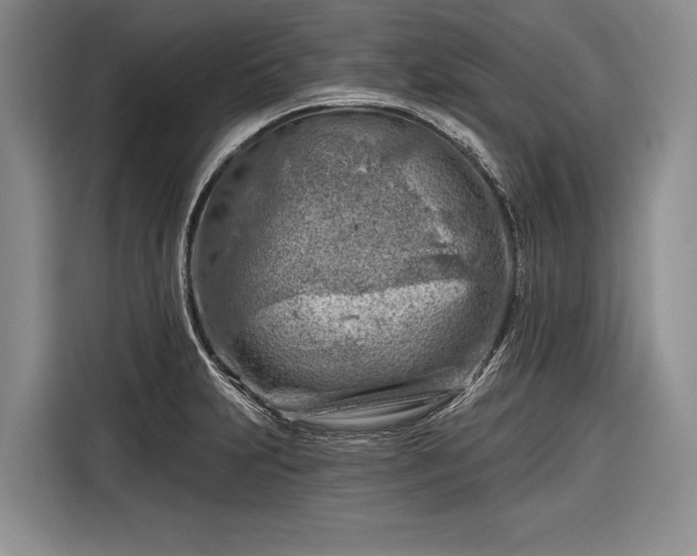 X0000116671231200912211557