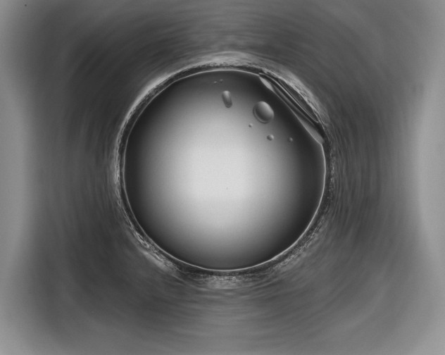 X0000116671232200912211557