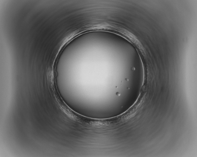 X0000116671234200912211557