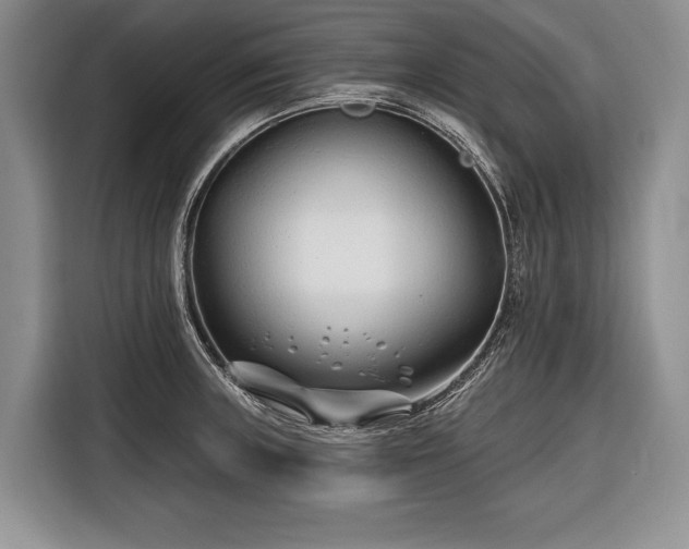 X0000116671235200912211557