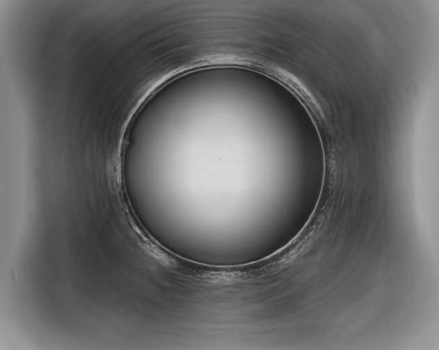 X0000116671236200912211557