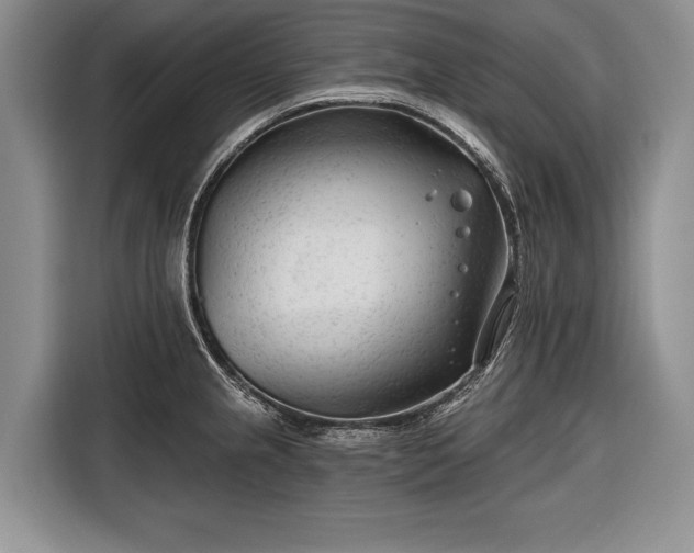 X0000116671237200912211557