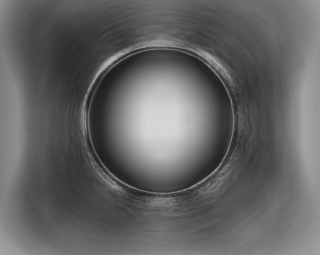 X0000116671238200912211557