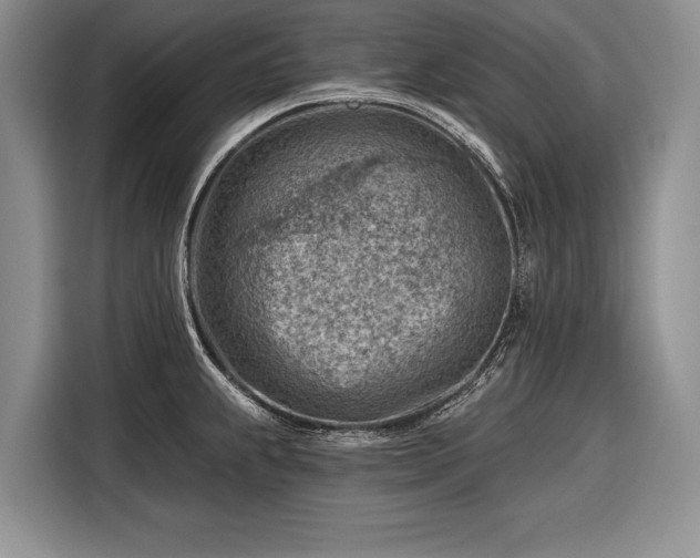 X0000116671239200912211557