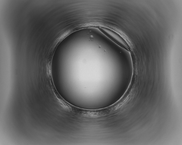 X0000116671241200912211557