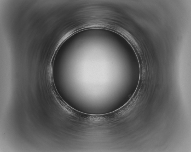 X0000116671242200912211557