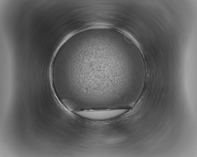 X0000116671243200912211557