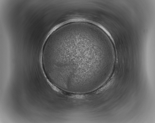 X0000116671245200912211557