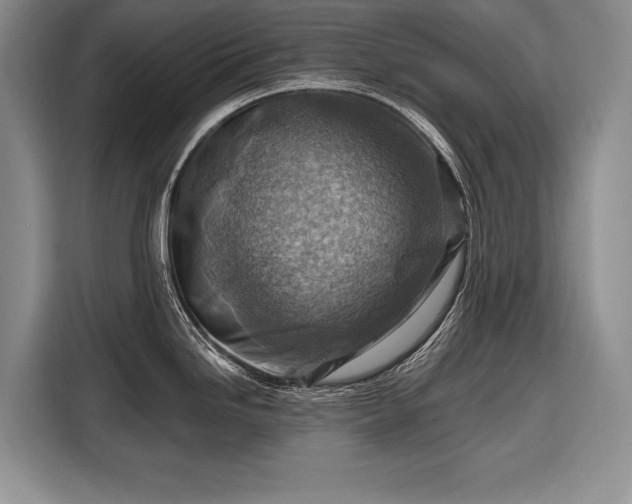 X0000116671246200912211557