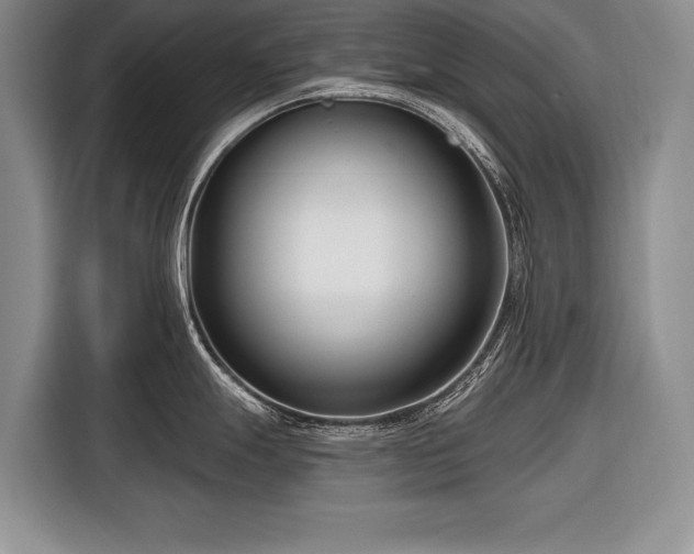 X0000116671247200912211557