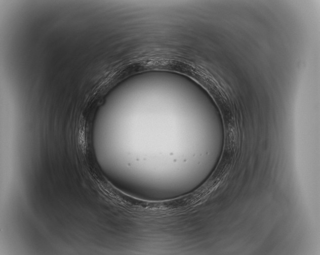 X0000116671250200912211557