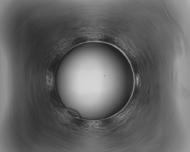 X0000116671251200912211557