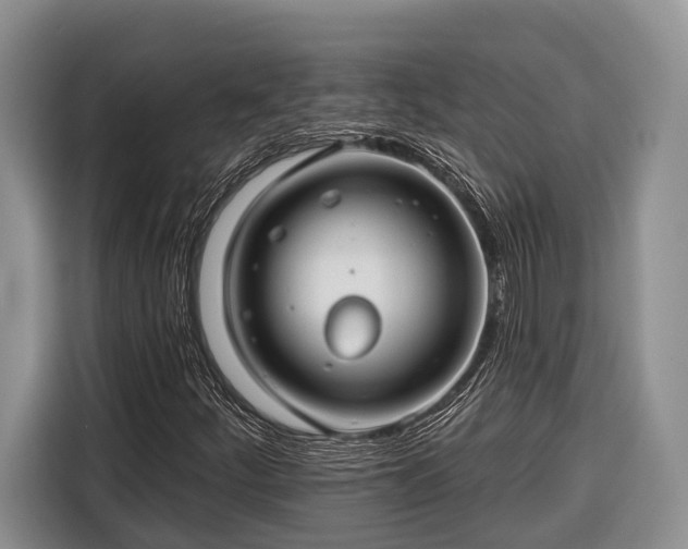 X0000116671252200912211557