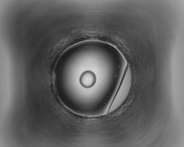 X0000116671253200912211557