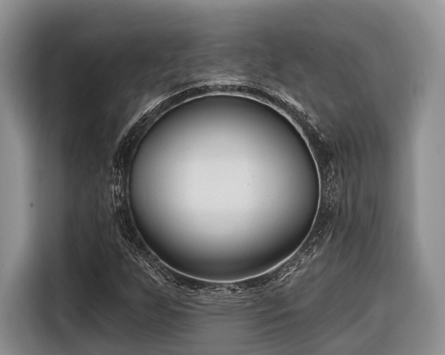 X0000116671255200912211557