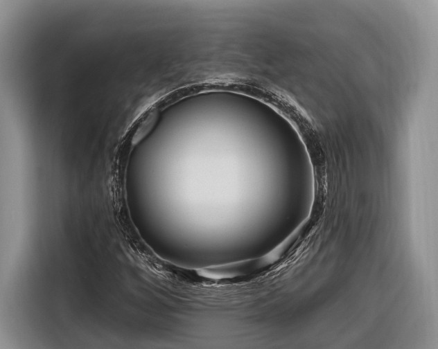 X0000116671256200912211557