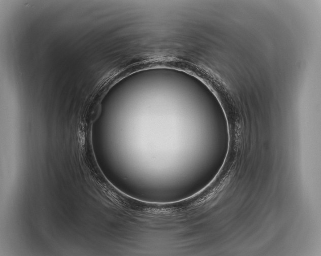 X0000116671257200912211557