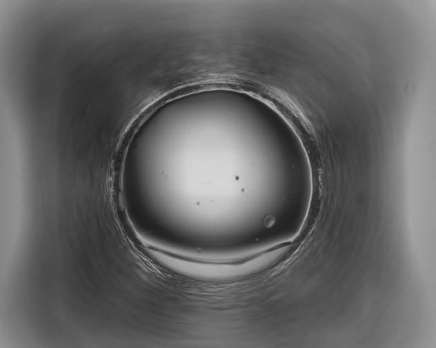 X0000116671260200912211556