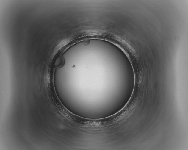 X0000116671261200912211556