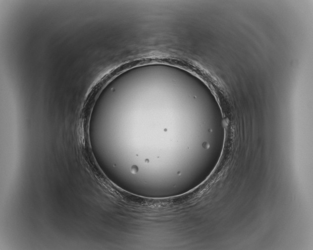 X0000116671262200912211556