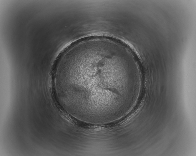 X0000116671263200912211556