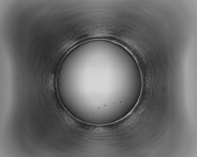 X0000116671265200912211556