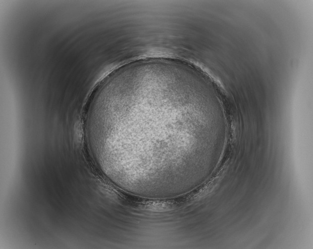 X0000116671266200912211556