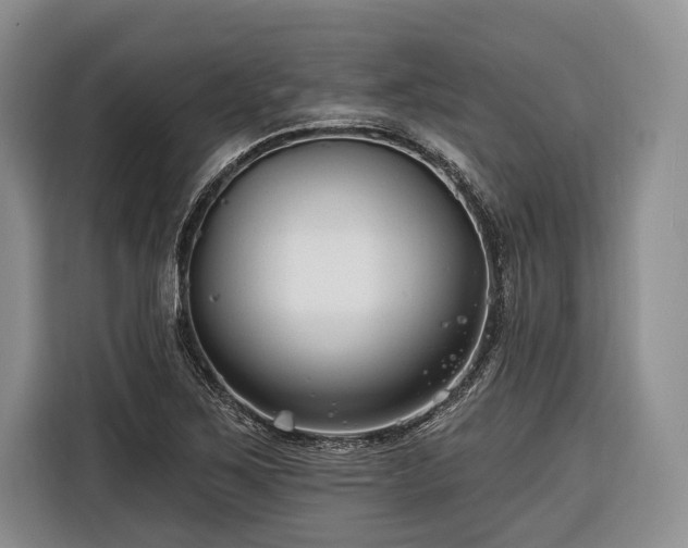 X0000116671267200912211556