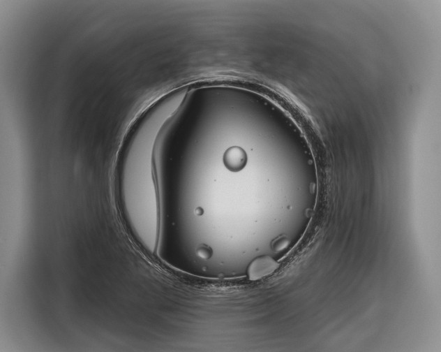 X0000116671269200912211556