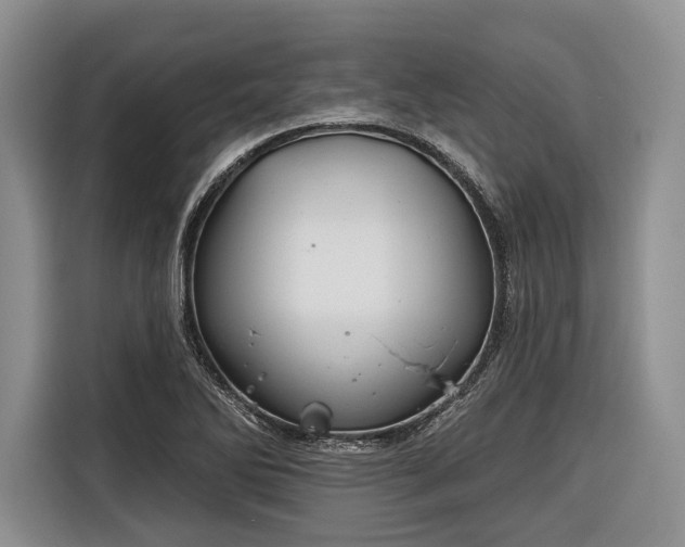 X0000116671270200912211556