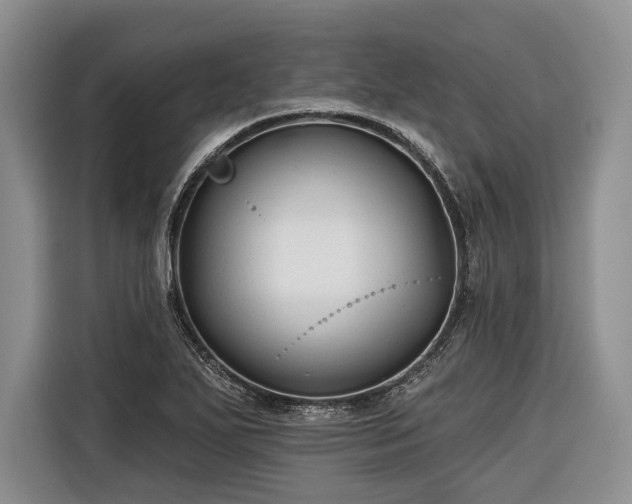 X0000116671271200912211556