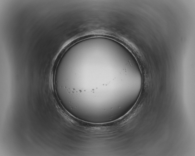 X0000116671272200912211556