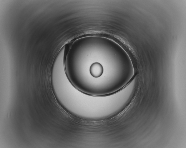 X0000116671273200912211556