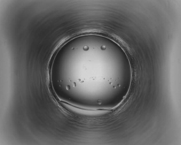 X0000116671274200912211556