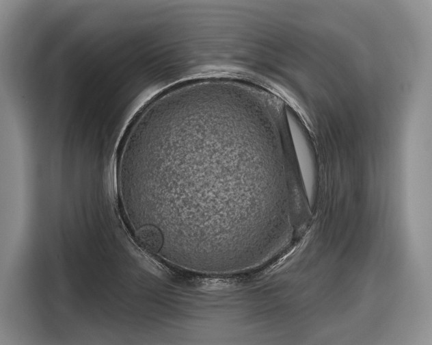 X0000116671275200912211556