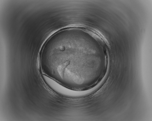 X0000116671276200912211556