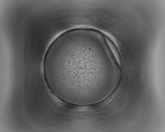 X0000116671279200912211556