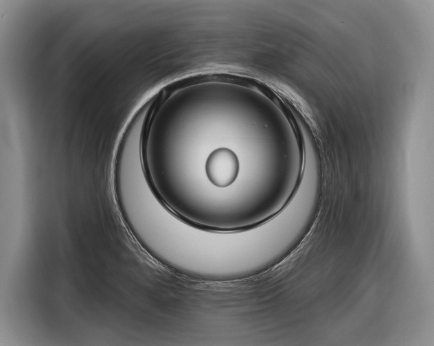 X0000116671280200912211556