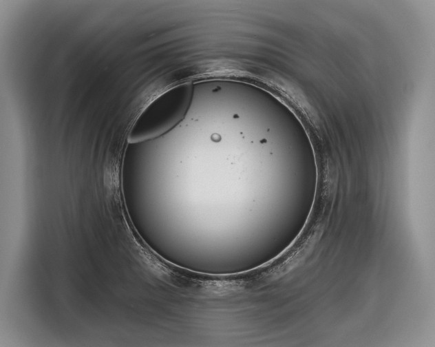 X0000116671281200912211556