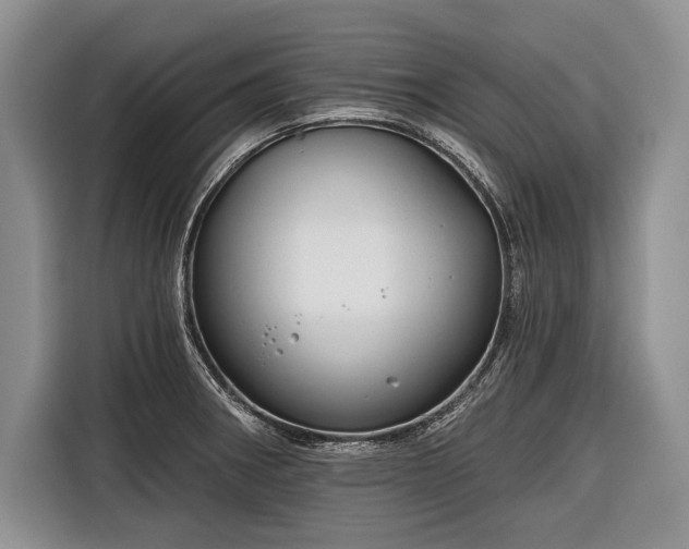 X0000116671282200912211556