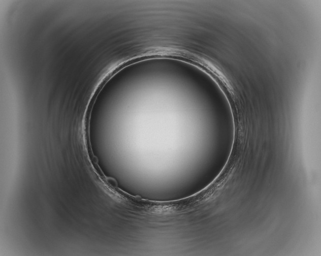 X0000116671283200912211556