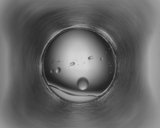 X0000116671284200912211556