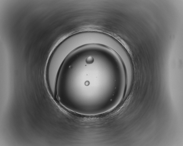 X0000116671285200912211556