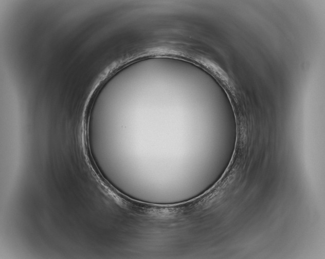 X0000116671286200912211556