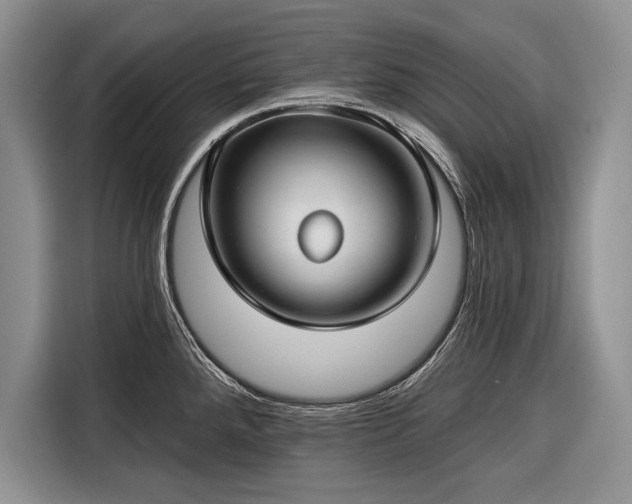 X0000116671288200912211556