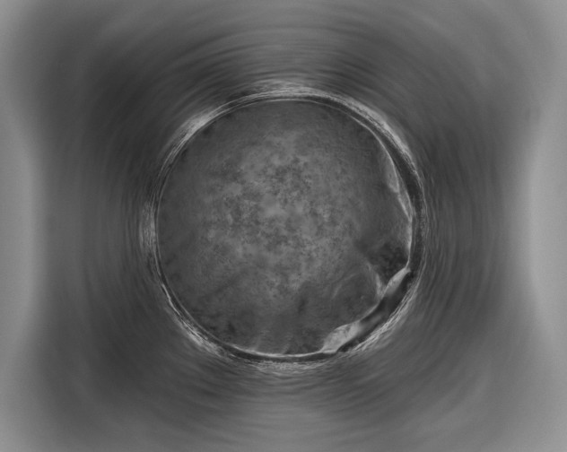 X0000116671289200912211556