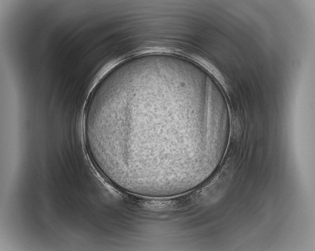 X0000116671290200912211556