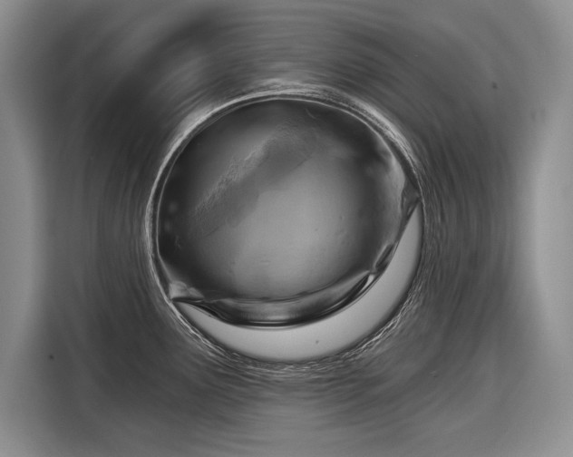 X0000116671291200912211556