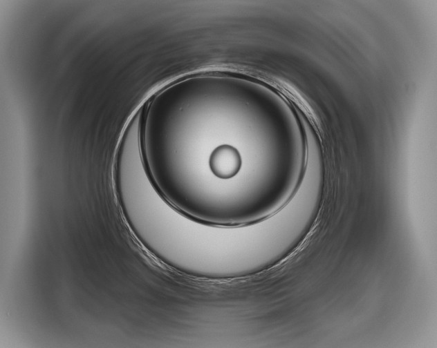 X0000116671292200912211556