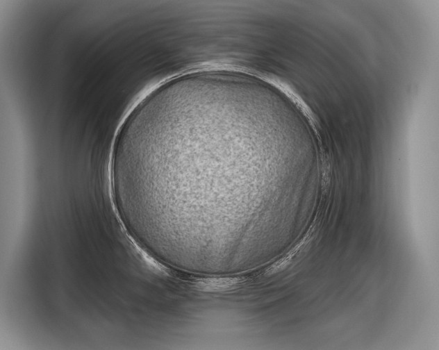 X0000116671294200912211556